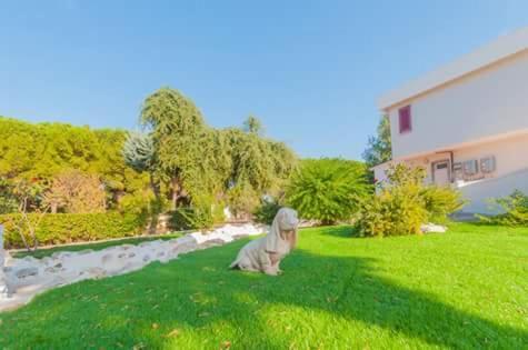 Paradise Beb Giovinazzo Zewnętrze zdjęcie